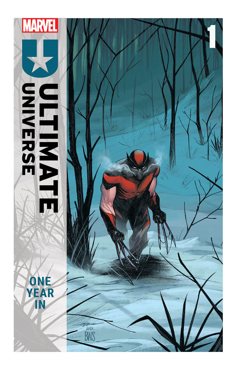 Ultimate Universe One Year In